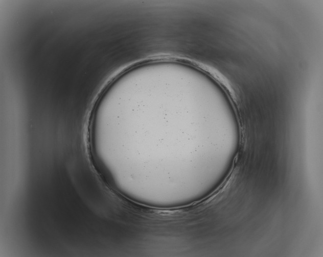 X0000102291279200808221349