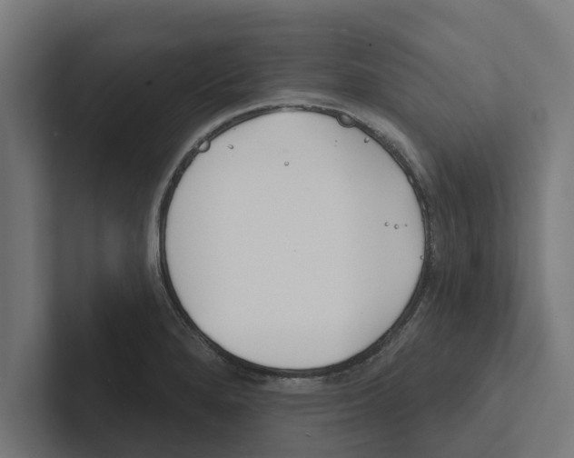 X0000102291280200808221349