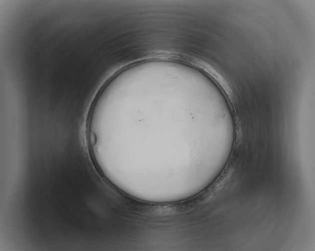 X0000102291283200808221349