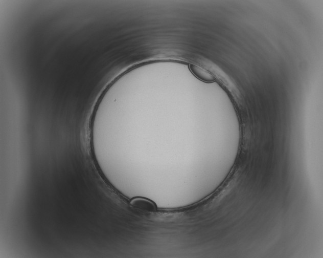 X0000102291284200808221349