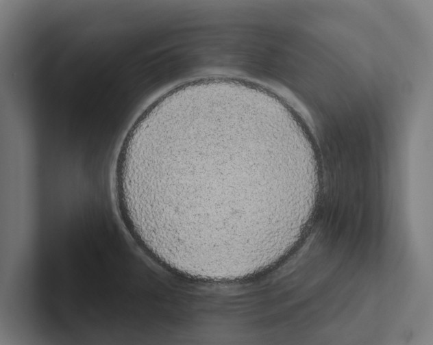 X0000102291287200808221349