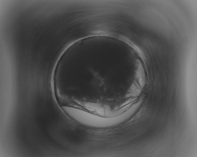 X0000102291291200808221349