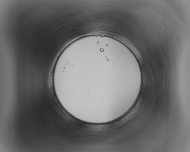 X0000102291292200808221349