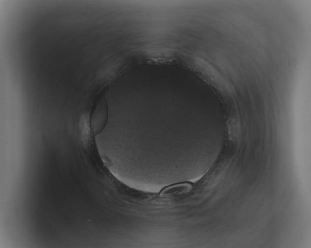 X0000102291298200808221349