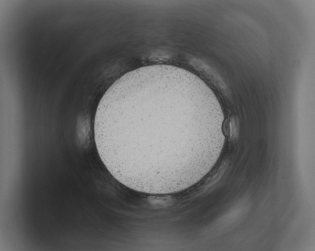 X0000102291299200808221349