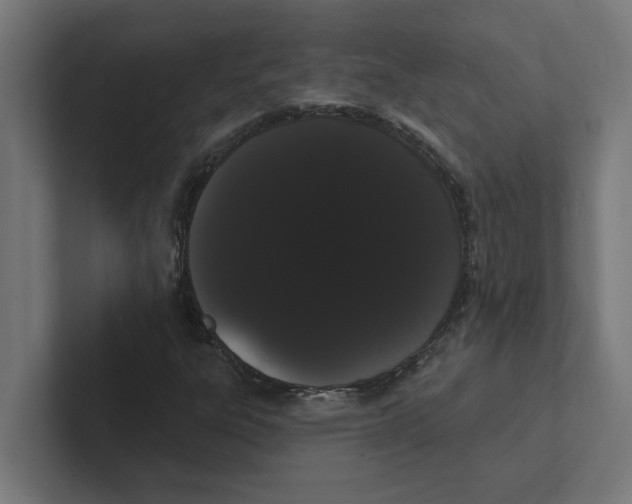 X0000102291303200808221349