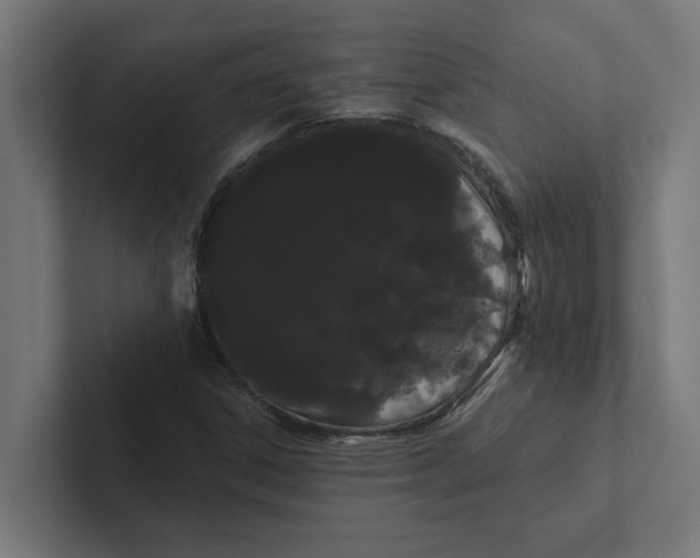 X0000102291306200808221349