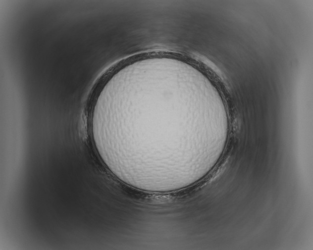 X0000102291310200808221349