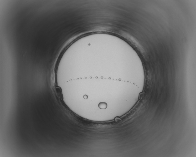 X0000102291324200808221349