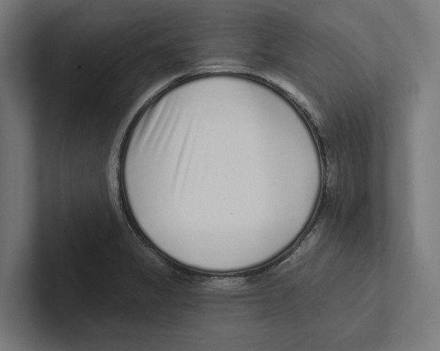 X0000102291325200808221349