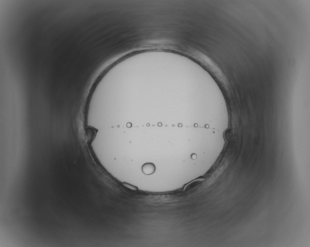 X0000102291336200808221349