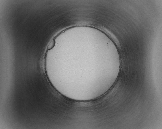 X0000102291340200808221349