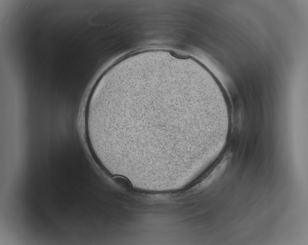 X0000102291341200808221349