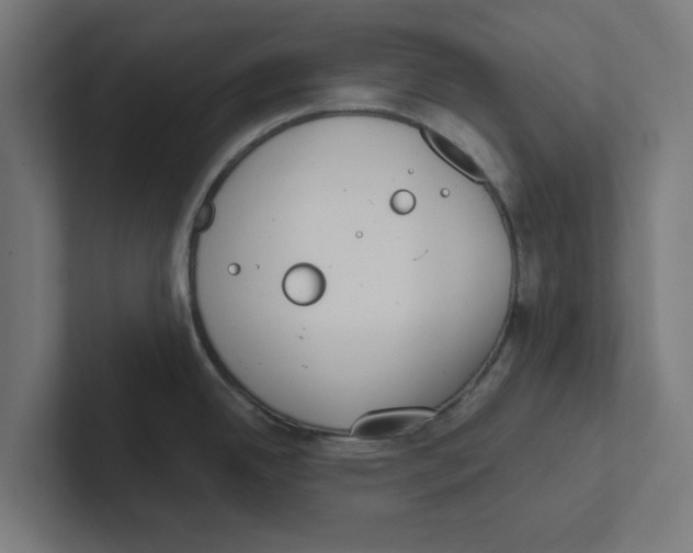 X0000102291342200808221349