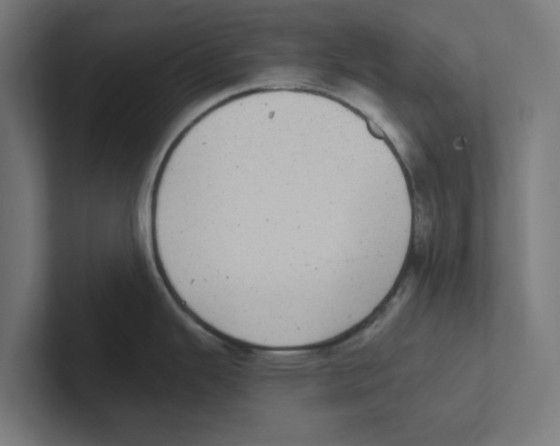 X0000102291343200808221349