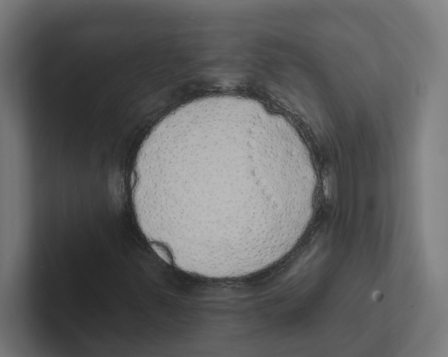 X0000102291347200808221348