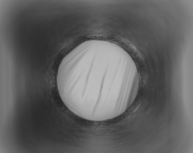 X0000102291350200808221348