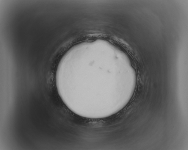 X0000102291351200808221348