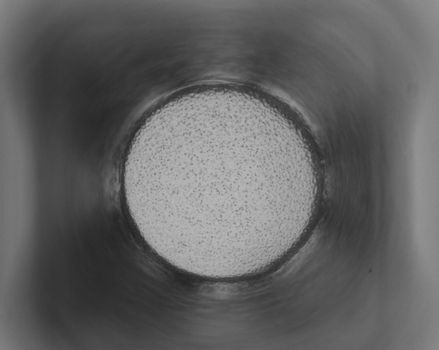 X0000102291355200808221348