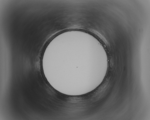 X0000102291356200808221348