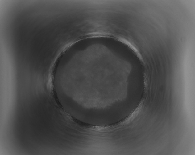 X0000102291357200808221348