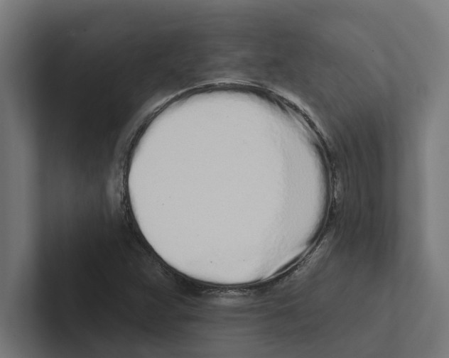 X0000102291359200808221348