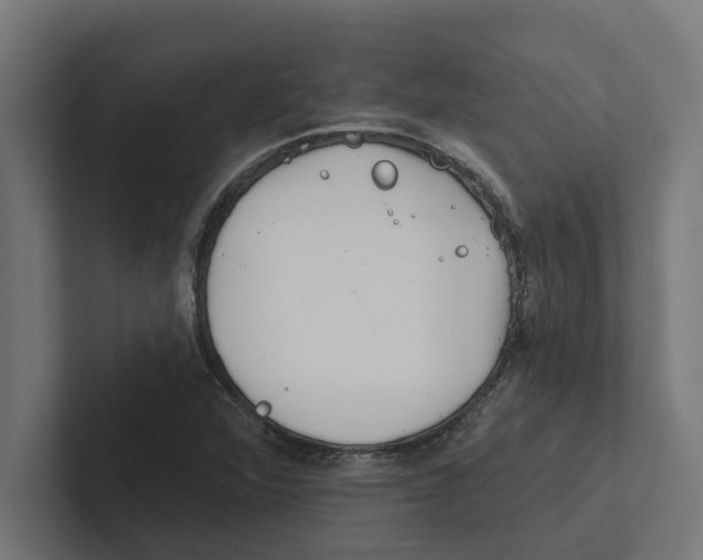 X0000102291360200808221348