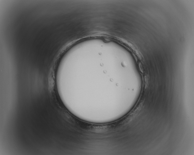 X0000102291363200808221348