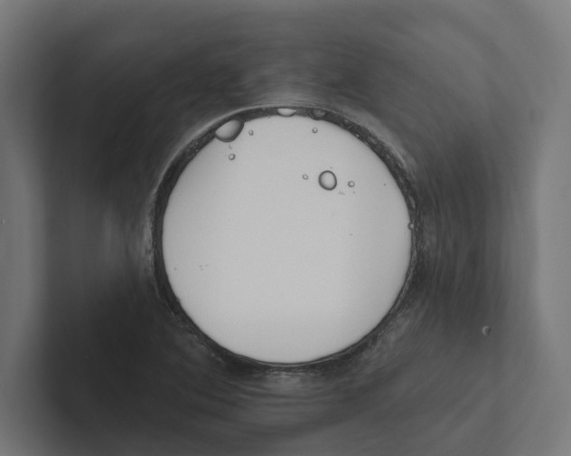 X0000102291364200808221348