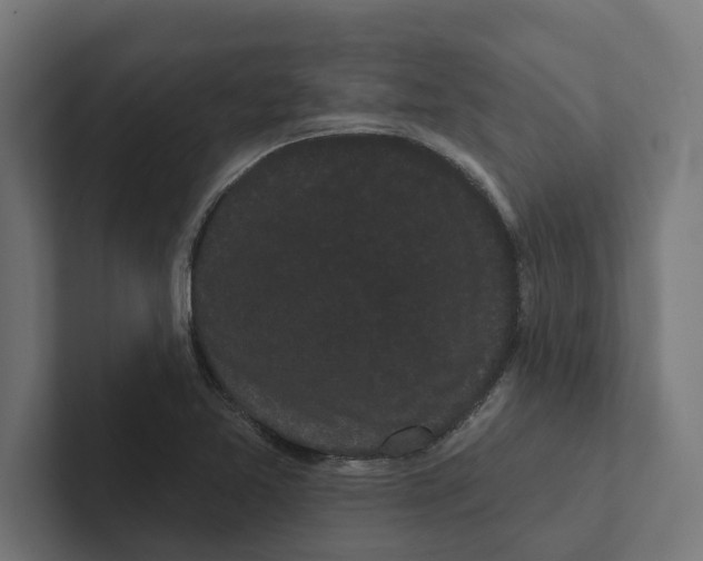 X0000102291365200808221348