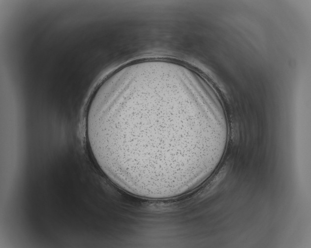 X0000102291366200808221348