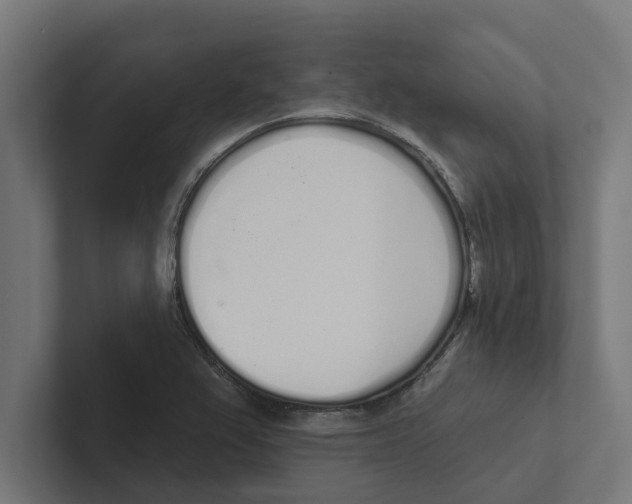 X0000102291367200808221348