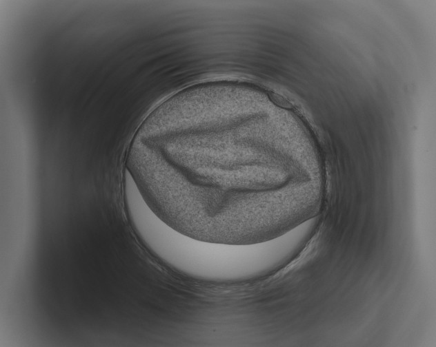 X0000102291369200808221348