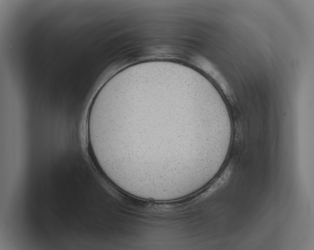 X0000102291370200808221348