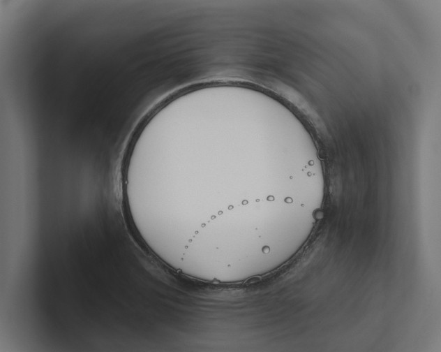 X0000102291372200808221348