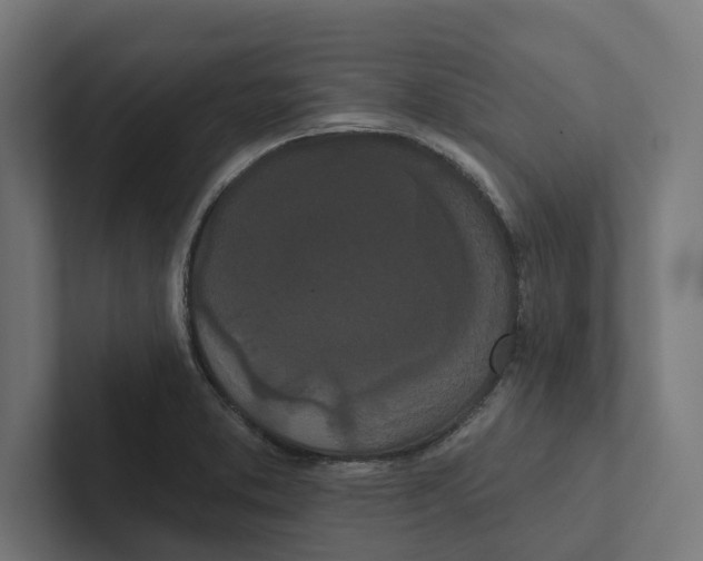 X0000102291373200808221348