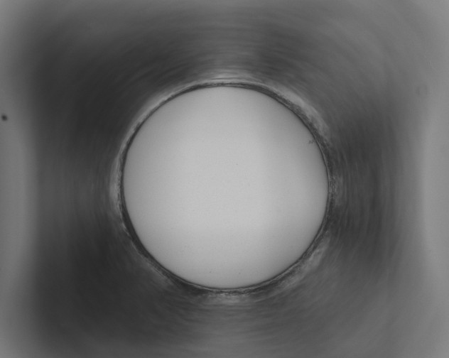 X0000102291374200808221348