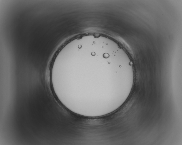 X0000102291376200808221348