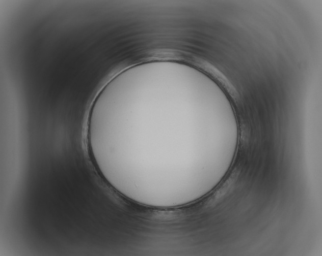 X0000102291378200808221348