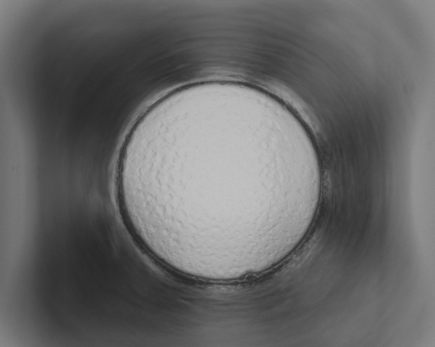 X0000102291379200808221348