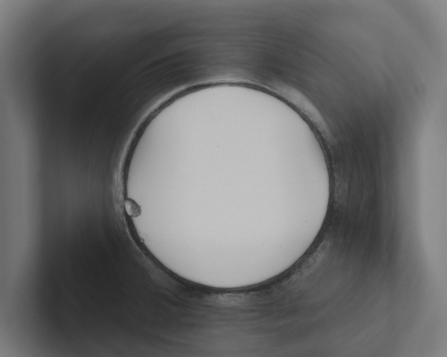 X0000102291380200808221348