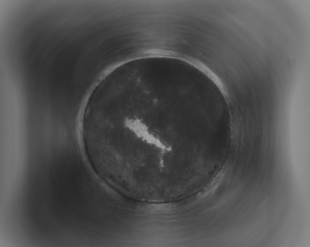 X0000102291381200808221348