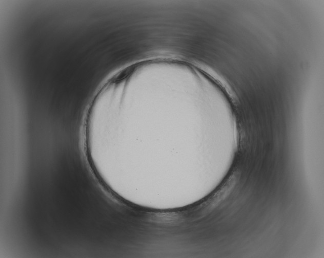 X0000102291383200808221348