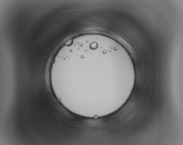 X0000102291384200808221348