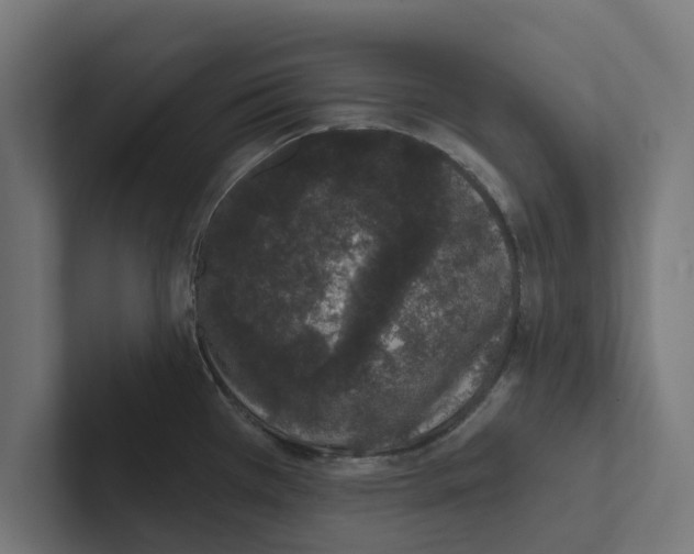 X0000102291385200808221348