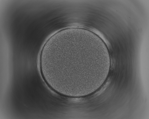 X0000102291387200808221348