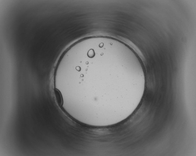 X0000102291388200808221348