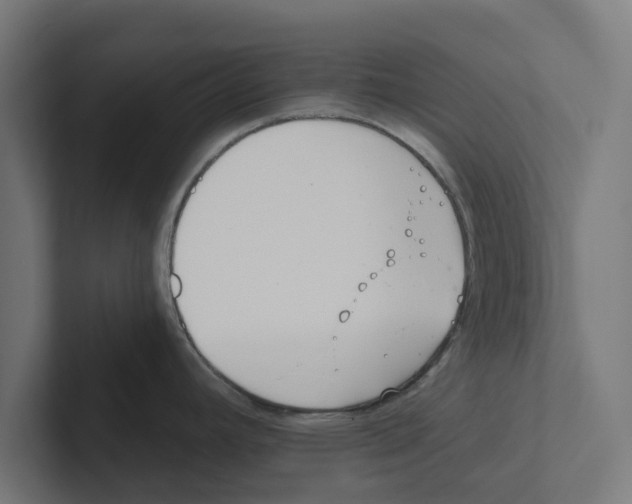 X0000102291392200808221348