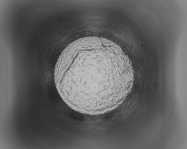 X0000102291397200808221347