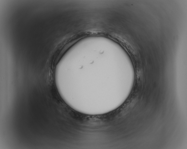 X0000102291398200808221347